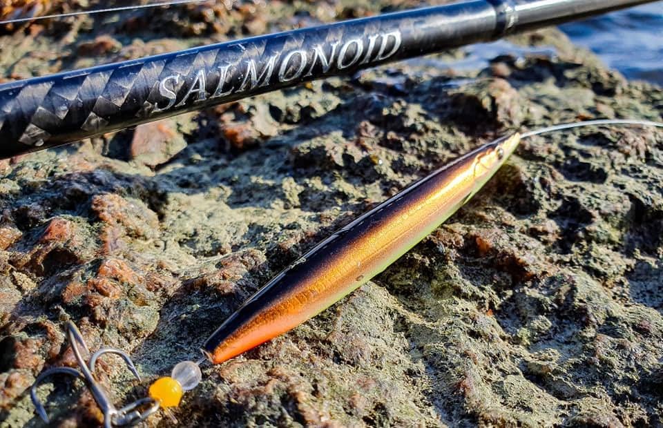 Savage Gear Salmonoid SG2 Schleppangel | Salzwasser-Schleppangel für Lachs und Forelle | 24+30T Carb