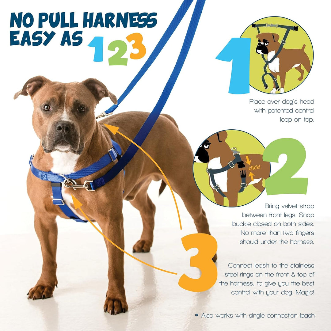 2 Hounds Design Freedom Hundegeschirr und Trainingsleine gegen Ziehen, doppelte Leinenschlaufen, gef