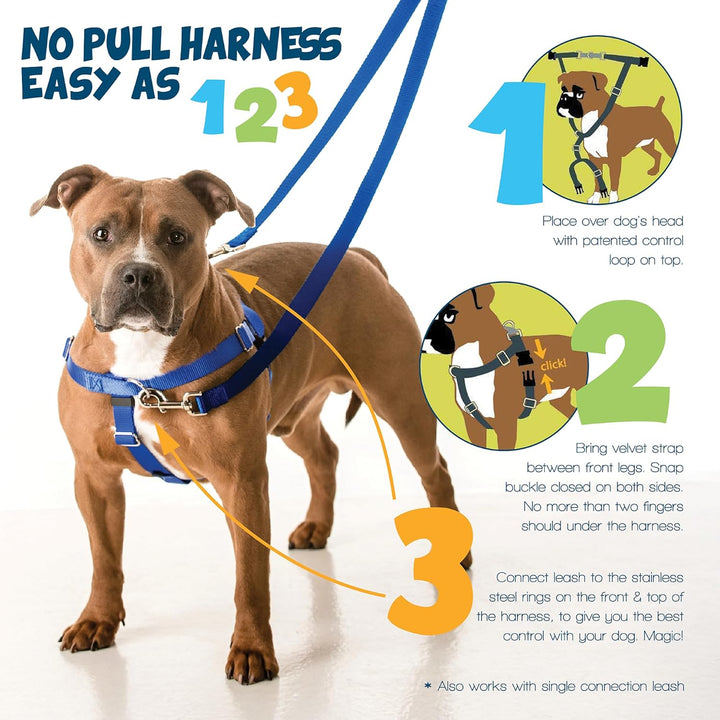 2 Hounds Design Freedom Hundegeschirr und Trainingsleine gegen Ziehen, doppelte Leinenschlaufen, gef