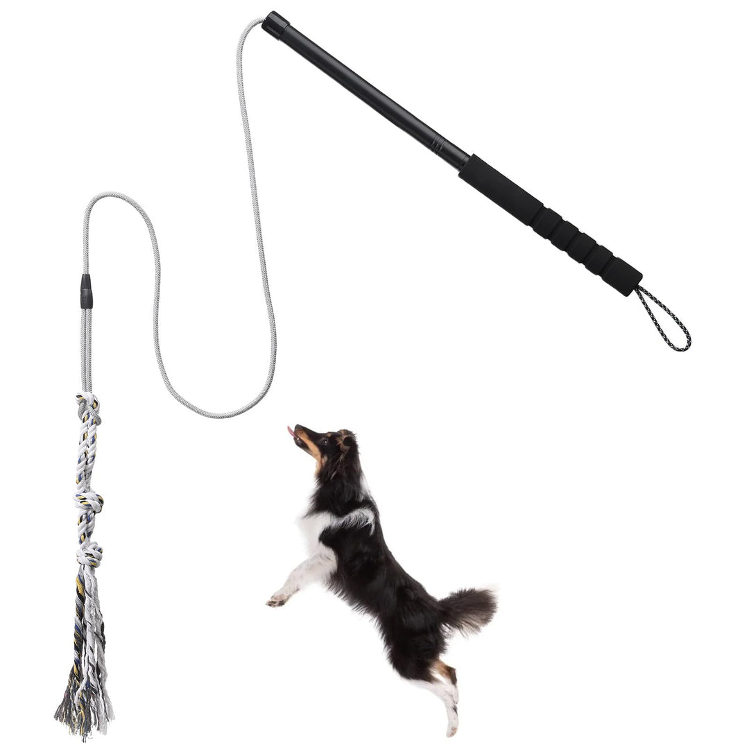 Flirt Pole Für Welpen Hunde,Interaktive Jagd und Zerrspielzeug Im Freien Hundespielzeug,Reizangel Ch