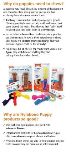 Nylabone Kauspielzeug für Welpen Starter Kit 3 Stück (1er Pack), 3 Stück (1er Pack)