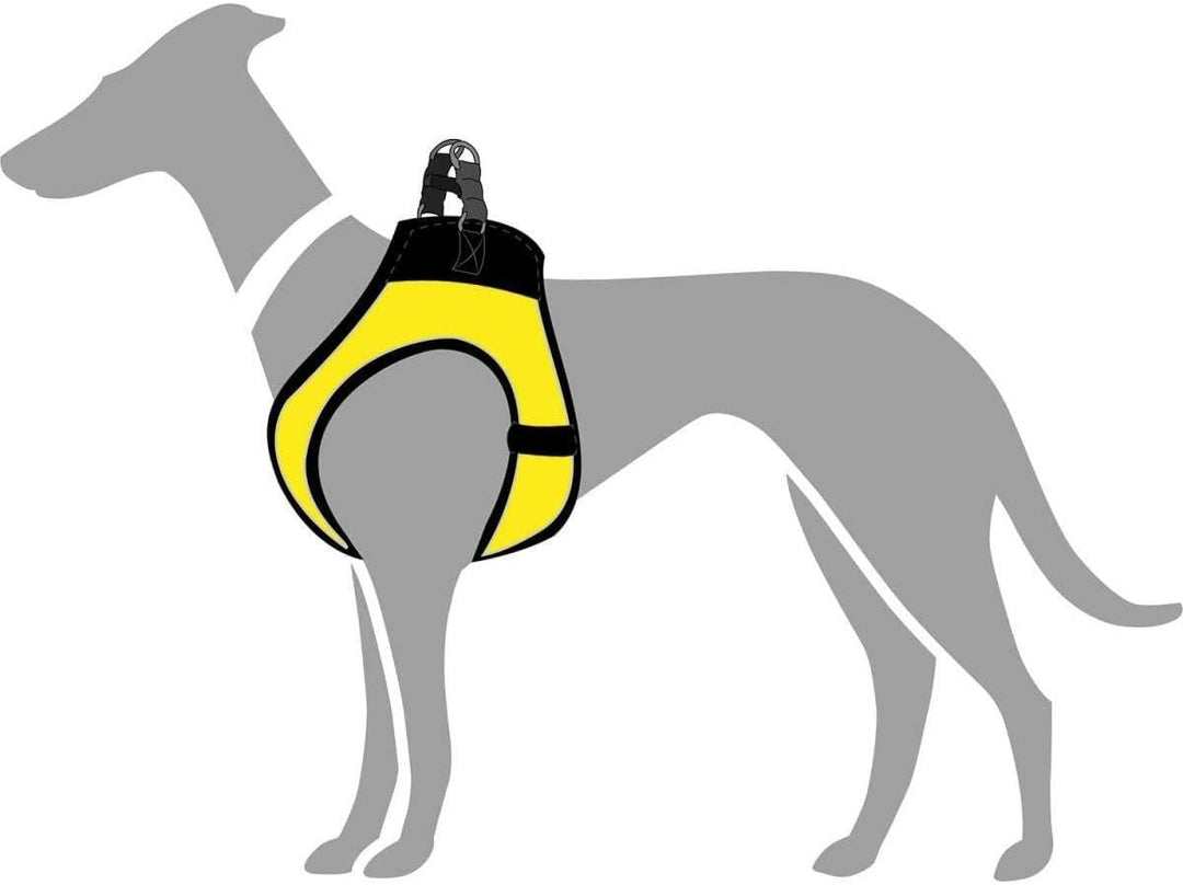 HUNTER HILO COMFORT BVB Hundegeschirr, mit 3D-Mesh-Material, reflektierend, M-L, gelb, 65 - 70 cm ge