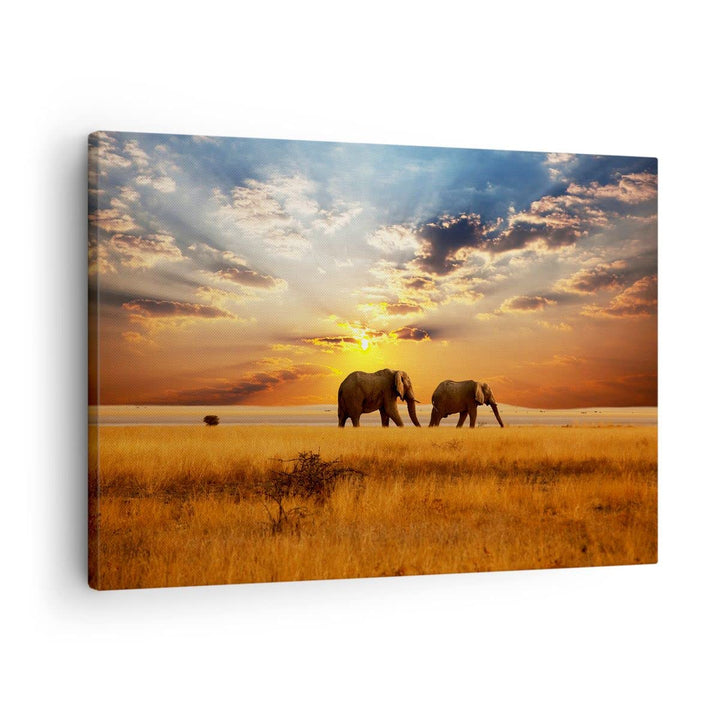 Bilder auf Leinwand Elefanten Safari Dschungel Busch Leinwandbild 70x50cm Wandbilder Dekoration Wohn