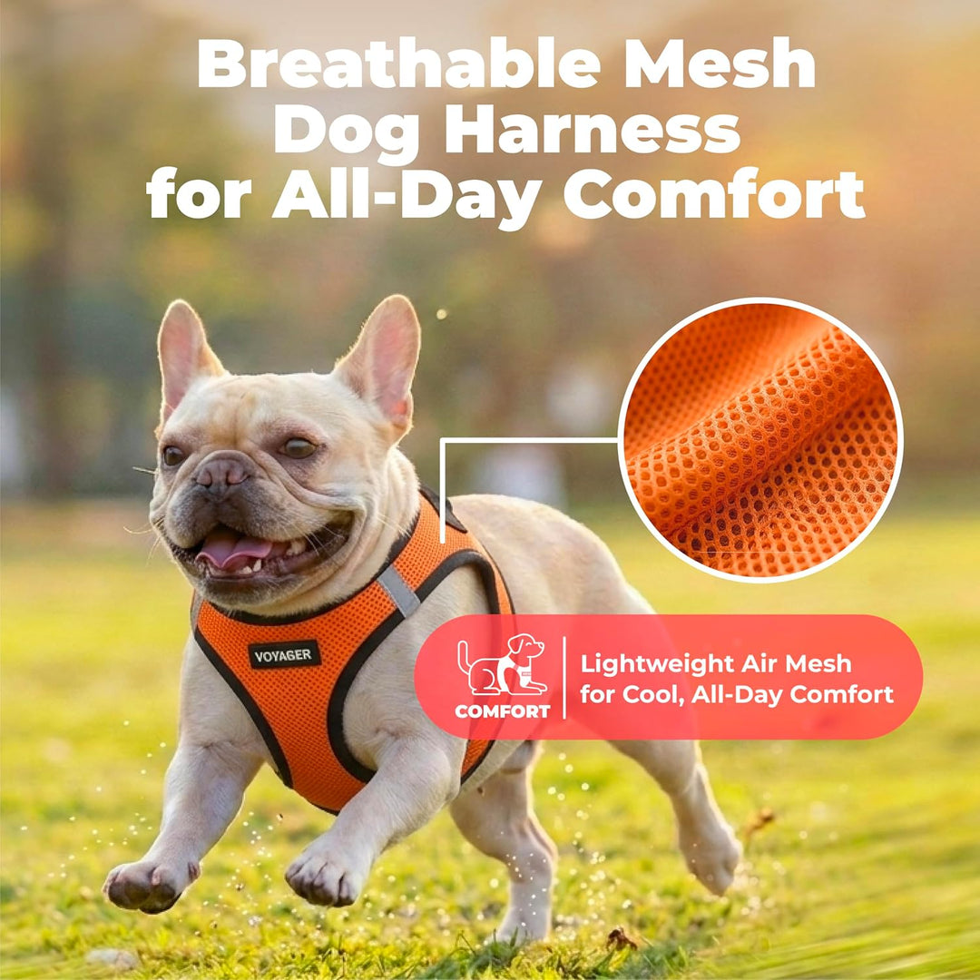Best Pet Supplies Voyager Step-In Air Hundegeschirr – Allwetter-Netzgewebe für kleine und mittelgros