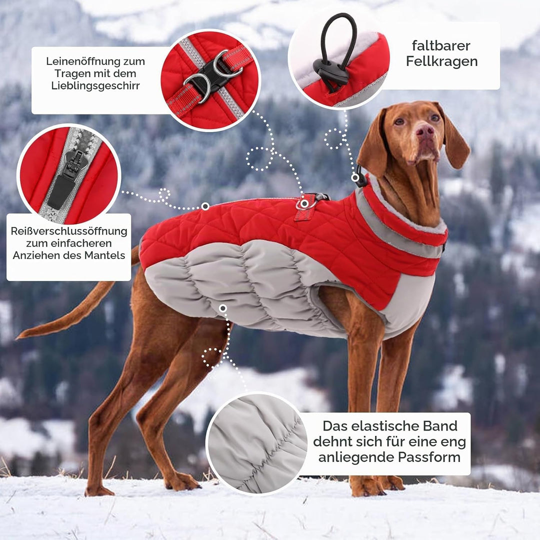 Kuoser Hundejacke Hundemantel für Kleine Hunde Winterweste, Wasserdicht Hunde Wintermantel Jacke Win