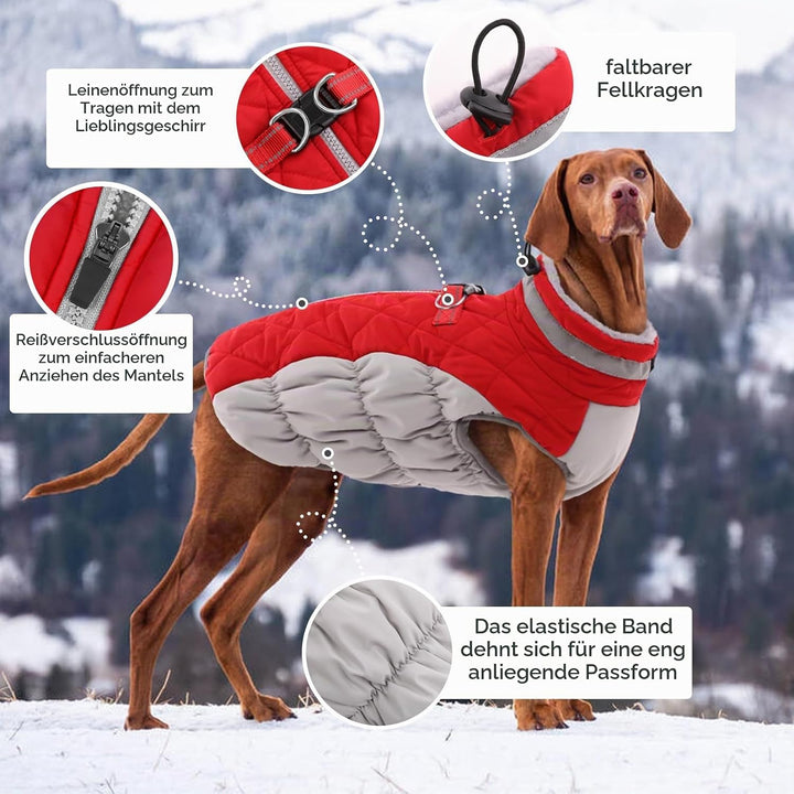 Kuoser Hundejacke Hundemantel für Kleine Hunde Winterweste, Wasserdicht Hunde Wintermantel Jacke Win