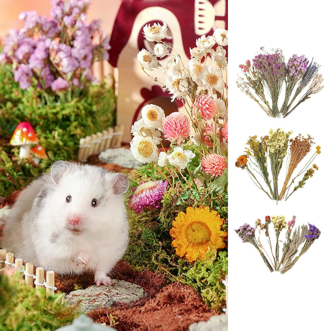 Trockenblumen Für Hamster, Hamster Heublumens Einstreu, Natürliche Getrocknete Blumensträusse Blumen
