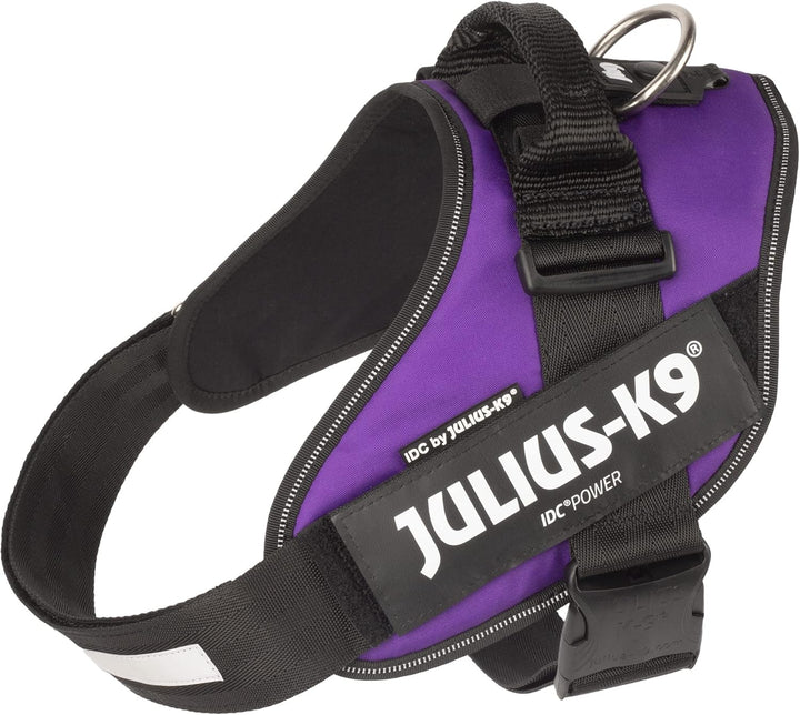 Julius-K9, IDC Powergeschirr, Grösse: XL/2, Dunkelviolett Lila XL/2, Lila XL/2