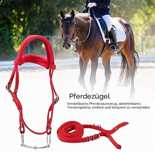 TopHomer Trensenzaum für Pferde mit Zügel, rot, verstellbares Pferdehalftergeschirr, Pferdekopfstück