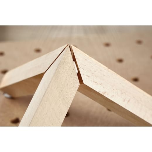 FESTOOL 498218 DOMINO Buche D 14x100/80 BU Pack of 80, Pack of 80