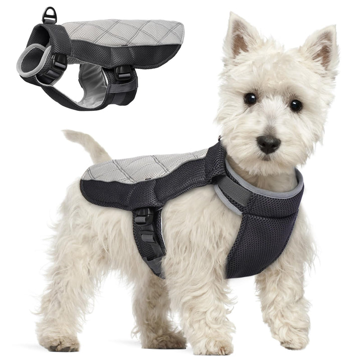 Kühlweste Hund, Sommer Kühlgeschirr für Hunde mit D-Ringe, Sonnenschutz Hund Kühlmantel, Kühlendes H