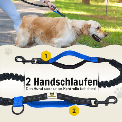 Hundefreund Joggingleine mit Bauchgurt | Blaue Freihandleine mit Dehnung und Ruckdämpfung für mittle