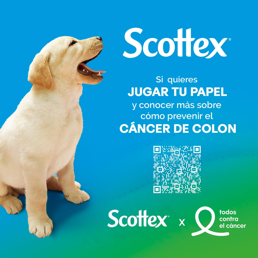 Scottex Gepolstertes Toilettenpapier - 63 Rollen 63 stück (1er Pack), 63 stück (1er Pack)