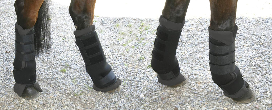 Kerbl 32469 Transportgamaschen, Neopren, M