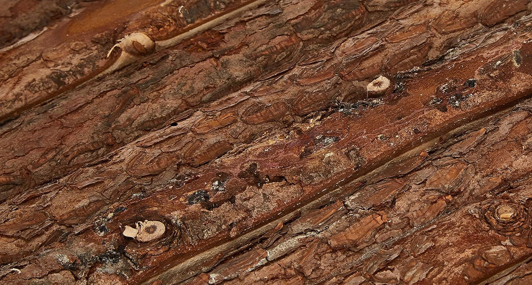 Trixie 6226 Natural Living Unterstand und Liegeplatz, 30 × 22 × 25 cm, 1 Stück (2er Pack), 1 Stück (