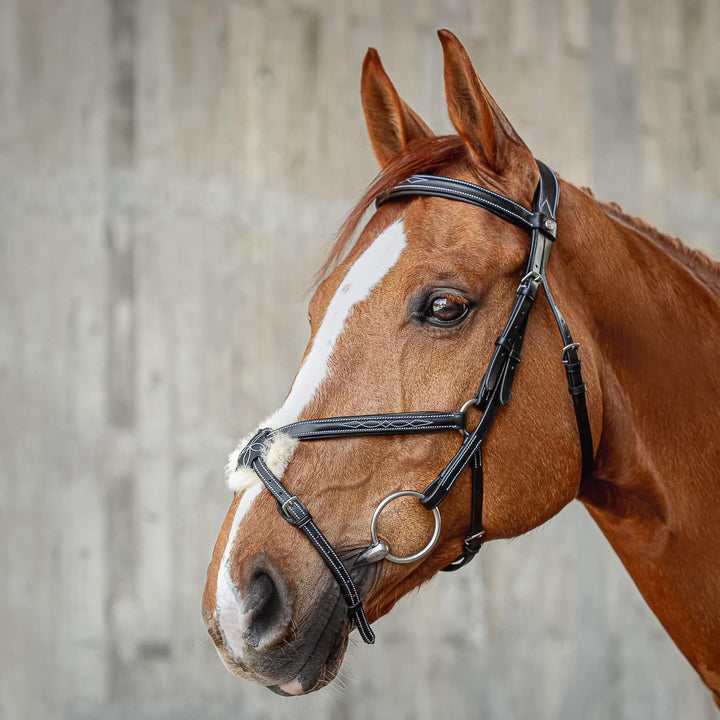 SUNRIDE mexikanische Trense Acapulco mit Zügel - aus Echtleder mit Fell, gepolstert, anatomisch (Ful