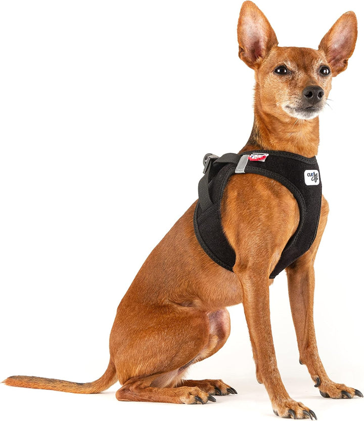Vest Harness curli Clasp Cord Black M XS Orange, XS Orange