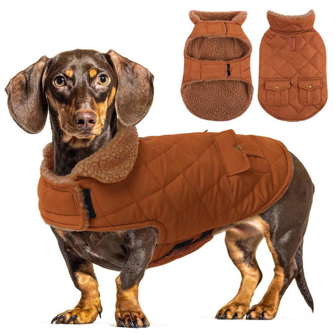 CITÉTOILE Wasserdicht Hundemantel, Warme Wintermantel Winterjacken mit Fleece für Kleine/Grosse/Mitt