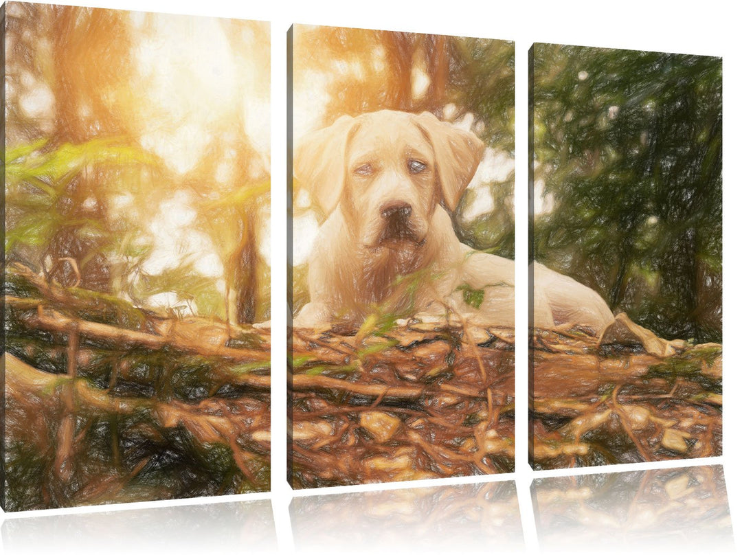 Pixxprint Hund im Wald bei Sonneuntergang / 3-Teilig/Gesamtmass 120cm Leinwandbild bespannt auf Holz