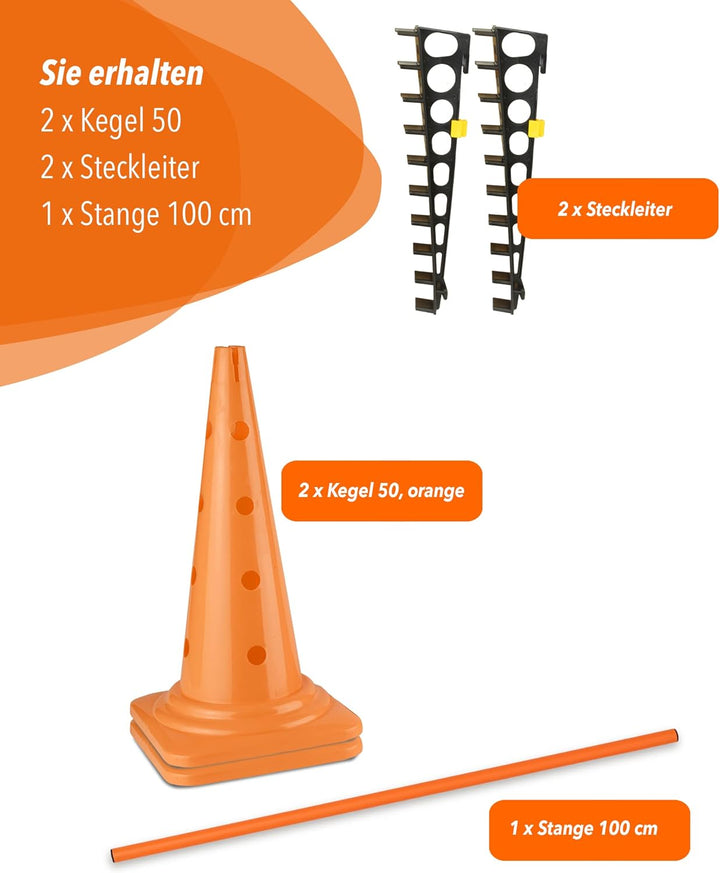 Kombi Leiterhürde 50 mit Stange 100 cm – Parcours-Hindernis für Agility-Training – Sprung- & Slalom-