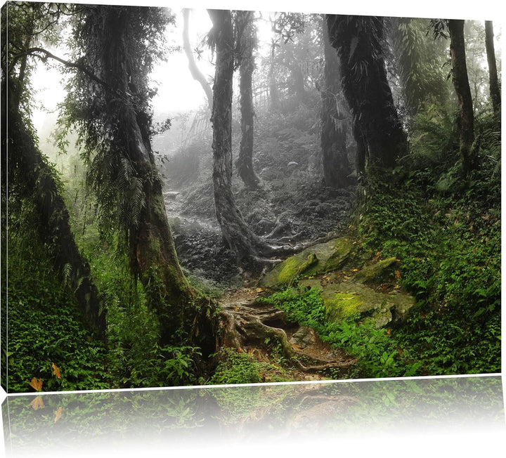 Pixxprint Tropischer La Selva Dschungel als Leinwandbild/Grösse: 100x70 / Wandbild/Kunstdruck/fertig