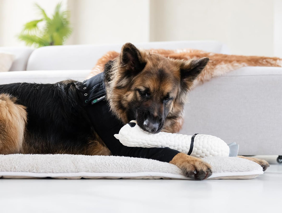 Suitical Recovery Sleeve Hund, XL, Schwarz Schwarz XL, Schwarz XL