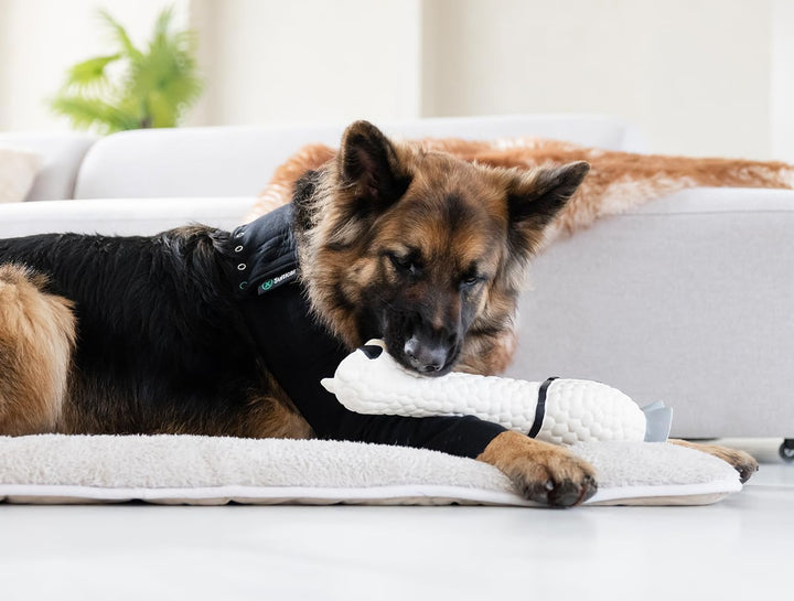 Suitical Recovery Sleeve Hund, XL, Schwarz Schwarz XL, Schwarz XL