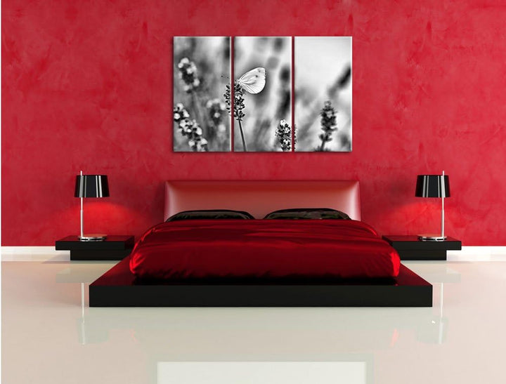 Pixxprint Schmetterling auf Lavendel als Leinwandbild/Grösse: 3 Teilig (120x80) cm/Wandbild/Kunstdru