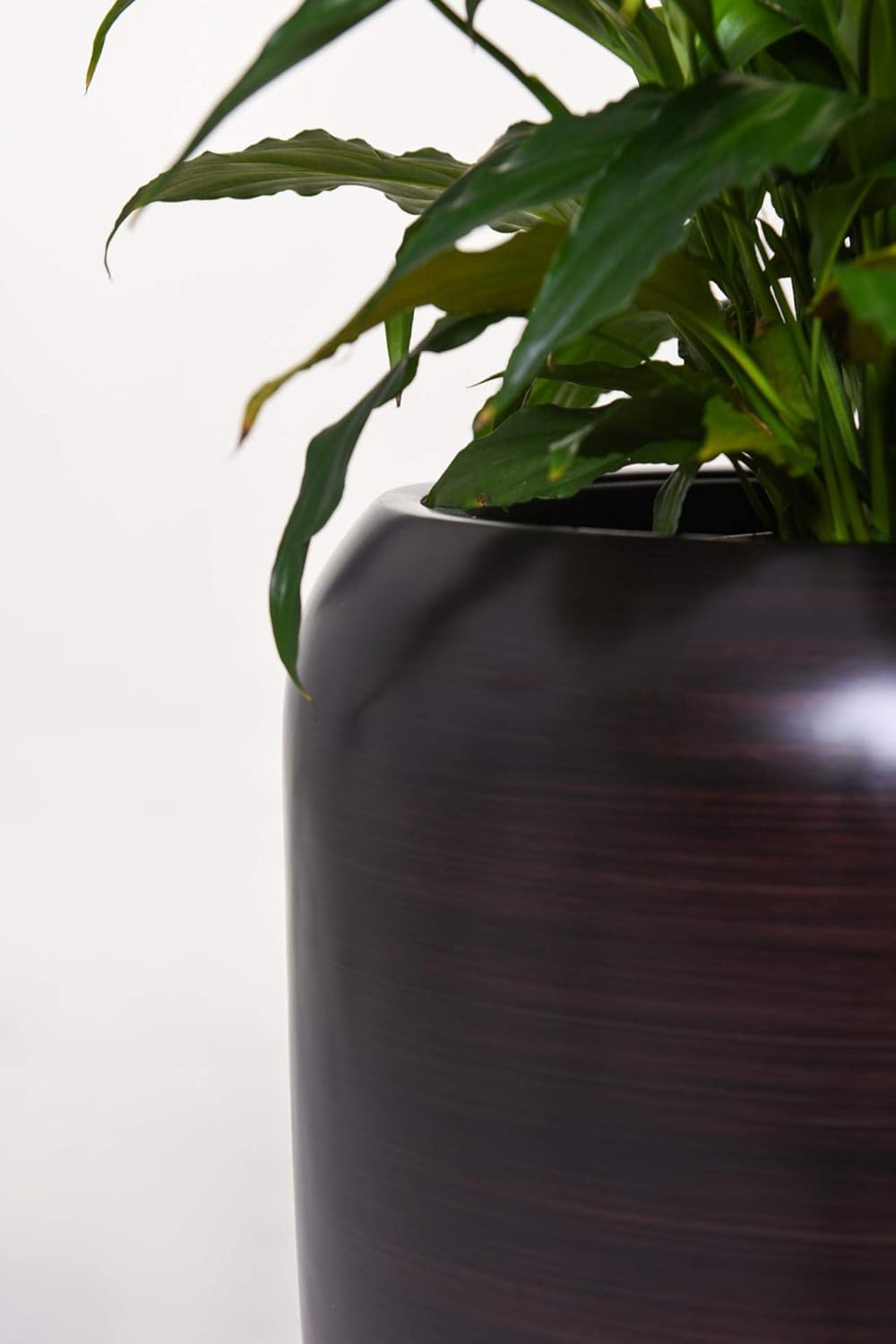 VIVANNO Pflanzkübel Pflanzgefäss Bodenvase exklusiv CAVITA Schwarz Braun Seidenmatt (75x34) Schwarz