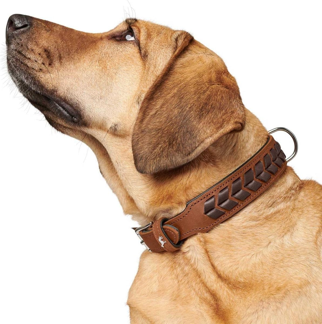HUNTER EL PASO Hundehalsband, Leder, geschmeidig, geflochten, 50 (S-M), cognac/schwarz 50 (S-M) cogn