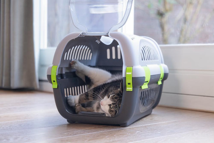 Beeztees Rhino, Transportbox, für kleine Hunde und Katzen, grau/grün, 51x34,5x33 cm