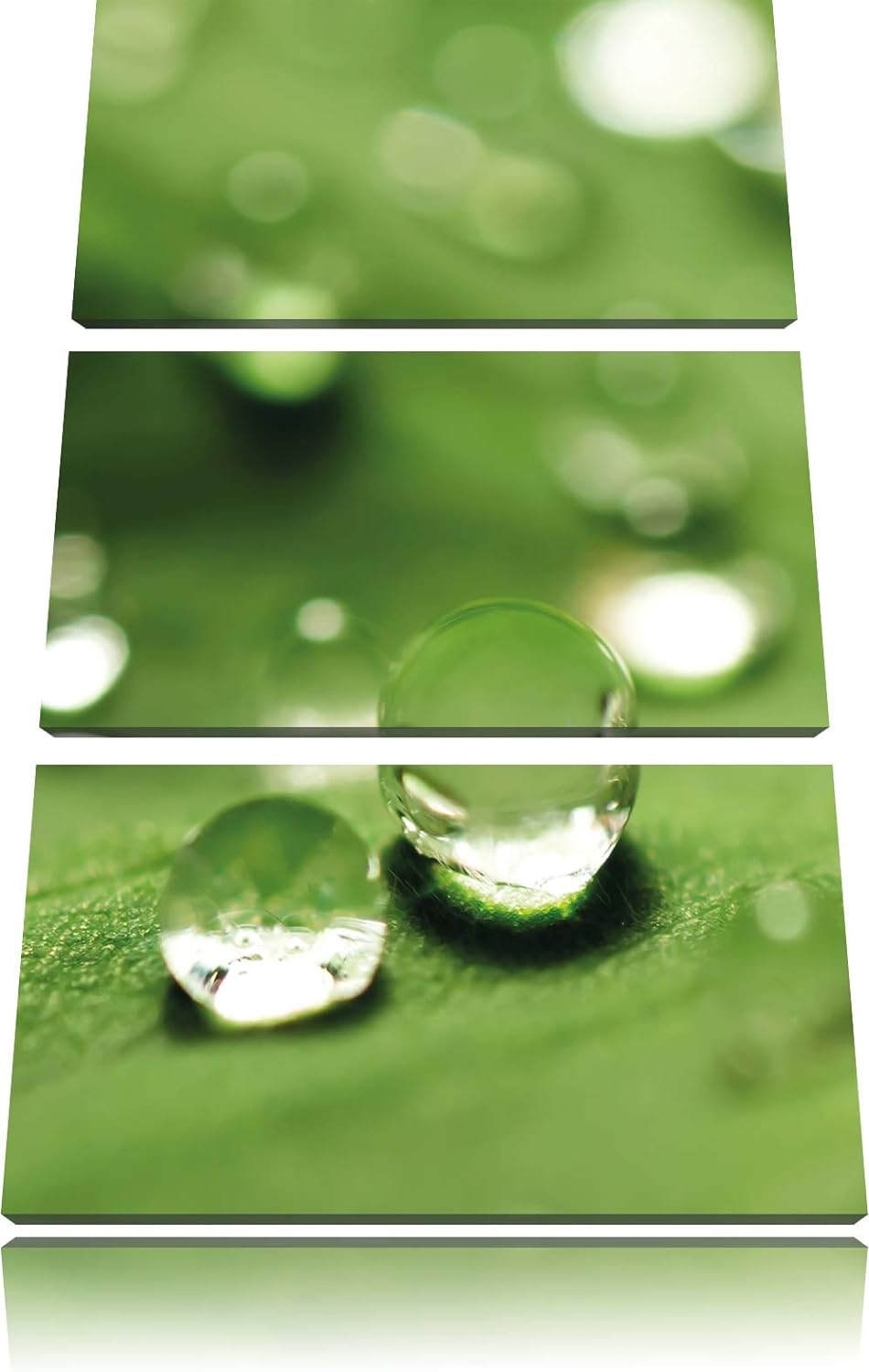 Pixxprint Wassertropfen auf Blatt als Leinwandbild | Grösse: 3 Teilig (120x80) | Wandbild| Kunstdruc