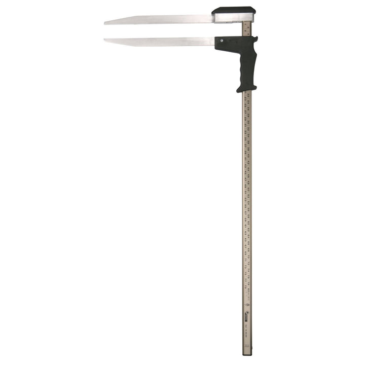 NESTLE Messkluppe Waldmeister geeicht Messbereich 60 cm, Gewicht 900 g, 1 Stück, 20002001