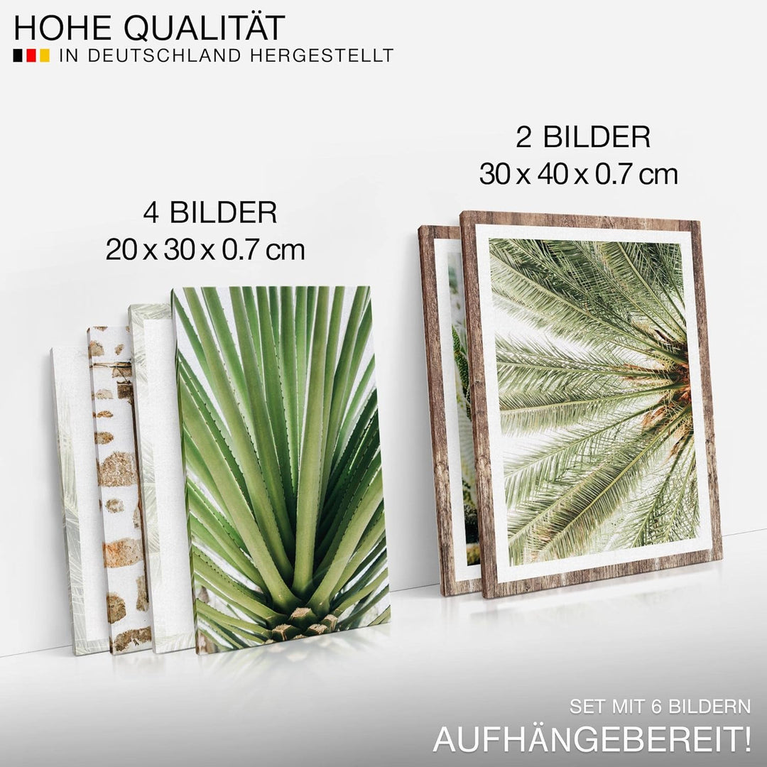 Novart Bilder Set - AUFHÄNGFERTIG - KEIN EXTRA RAHMEN BENÖTIGT - Natur Pflanzen Modern Kaktus - Wohn