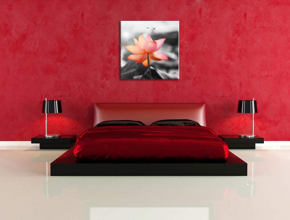 zarter Lotus schwarz/weiss, Format: 70x70 auf Leinwand, XXL riesige Bilder fertig gerahmt mit Keilra