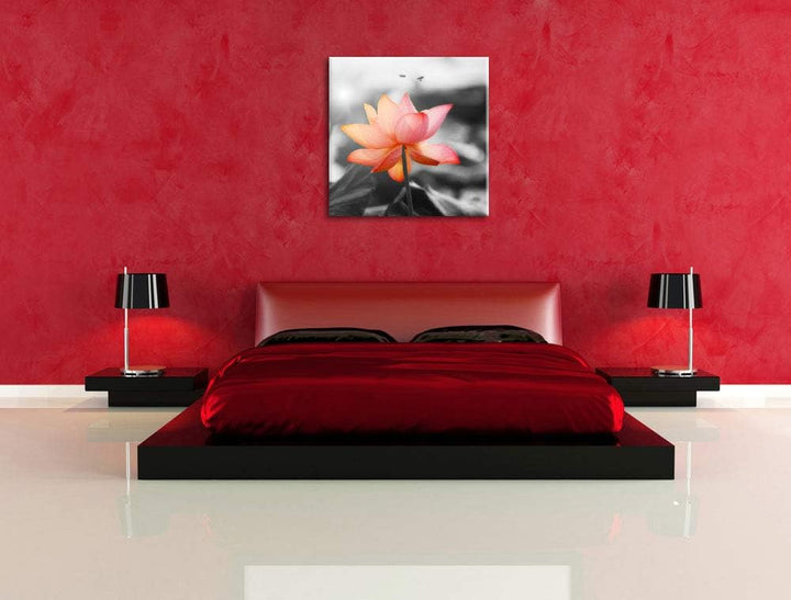 zarter Lotus schwarz/weiss, Format: 70x70 auf Leinwand, XXL riesige Bilder fertig gerahmt mit Keilra
