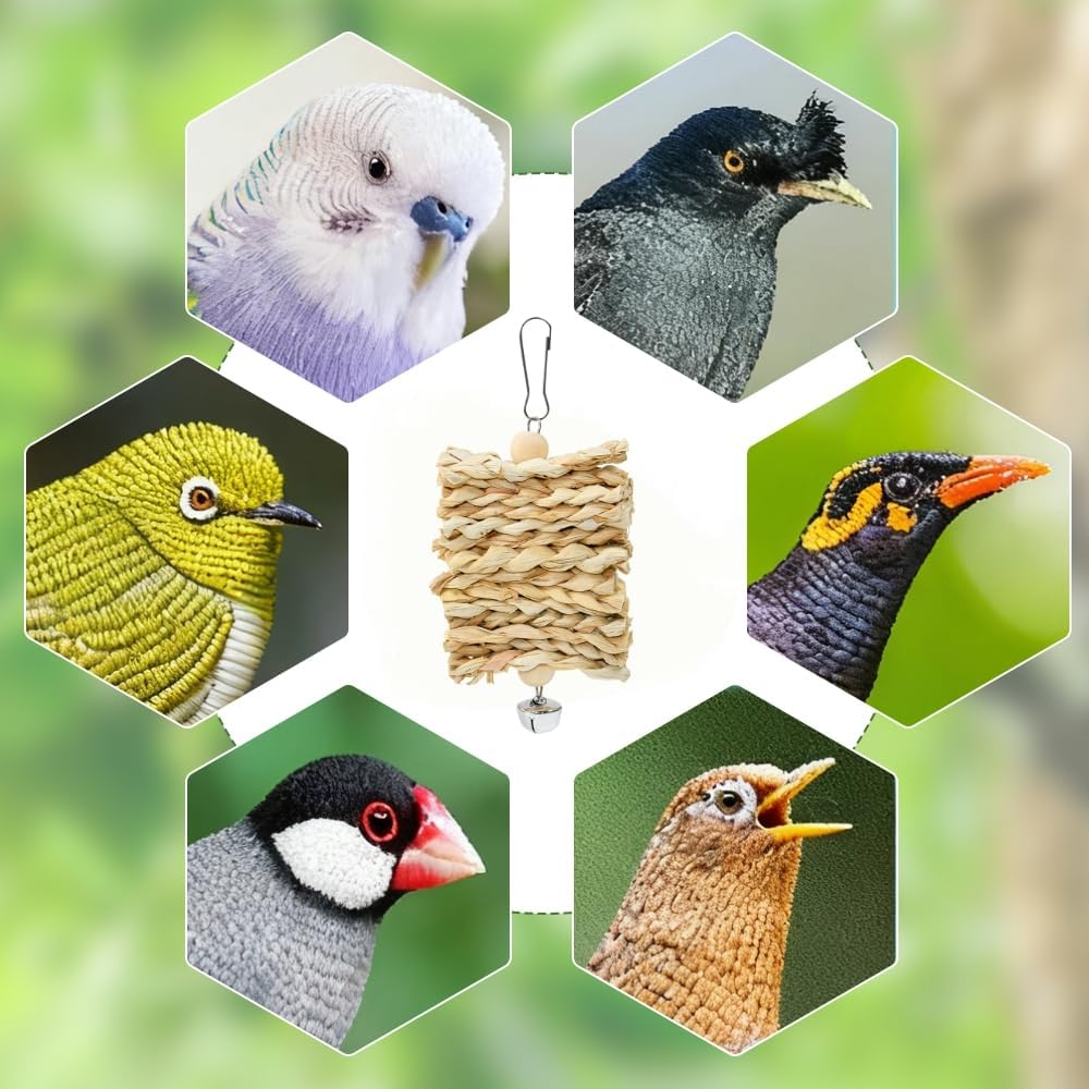 Vogel Spielzeug Käfig Papageien Spielzeug Natur 19 Stück Vogelspielzeug Hängend Vogel zubehör Hängem