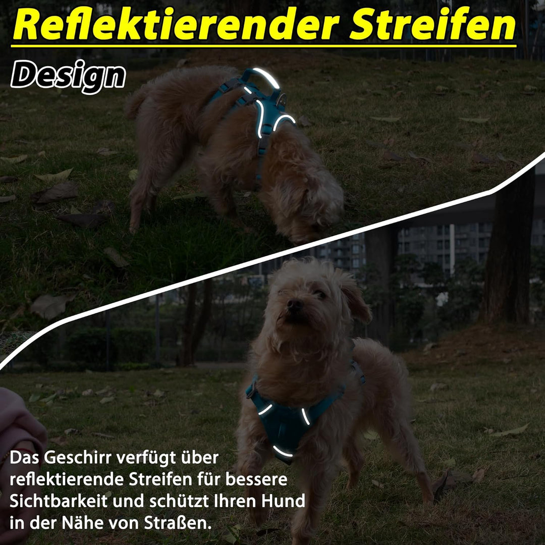 Wuffley Hundegeschirr mit Leine, Sicherheitsgeschirr Hund Ausbruchsicher, Anti Zug Hundegeschirr mit