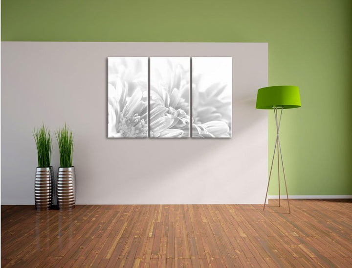 Pixxprint Gerbera-Blume / 3-Teilig/Gesamtmass 120cm Leinwandbild bespannt auf Holzrahmen/Wandbild Ku