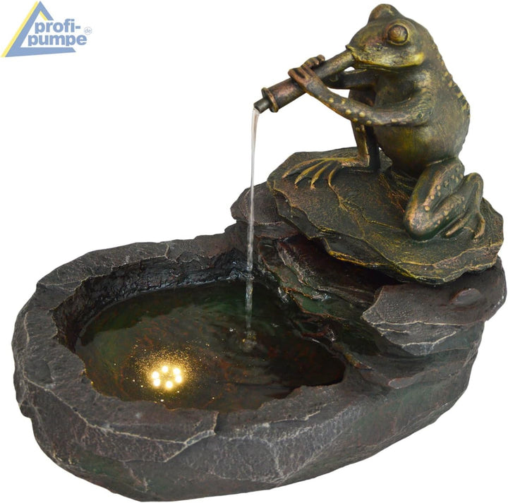 Gartenbrunnen Brunnen Zierbrunnen Zimmerbrunnen Brunnen Vogelbad Durstiger Frosch mit LED-Licht 230V