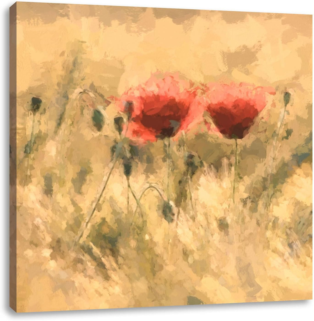 Pixxprint Mohnblumen auf einem Feld als Leinwandbild Quadratisch/Grösse: 70x70 / Wandbild/Kunstdruck