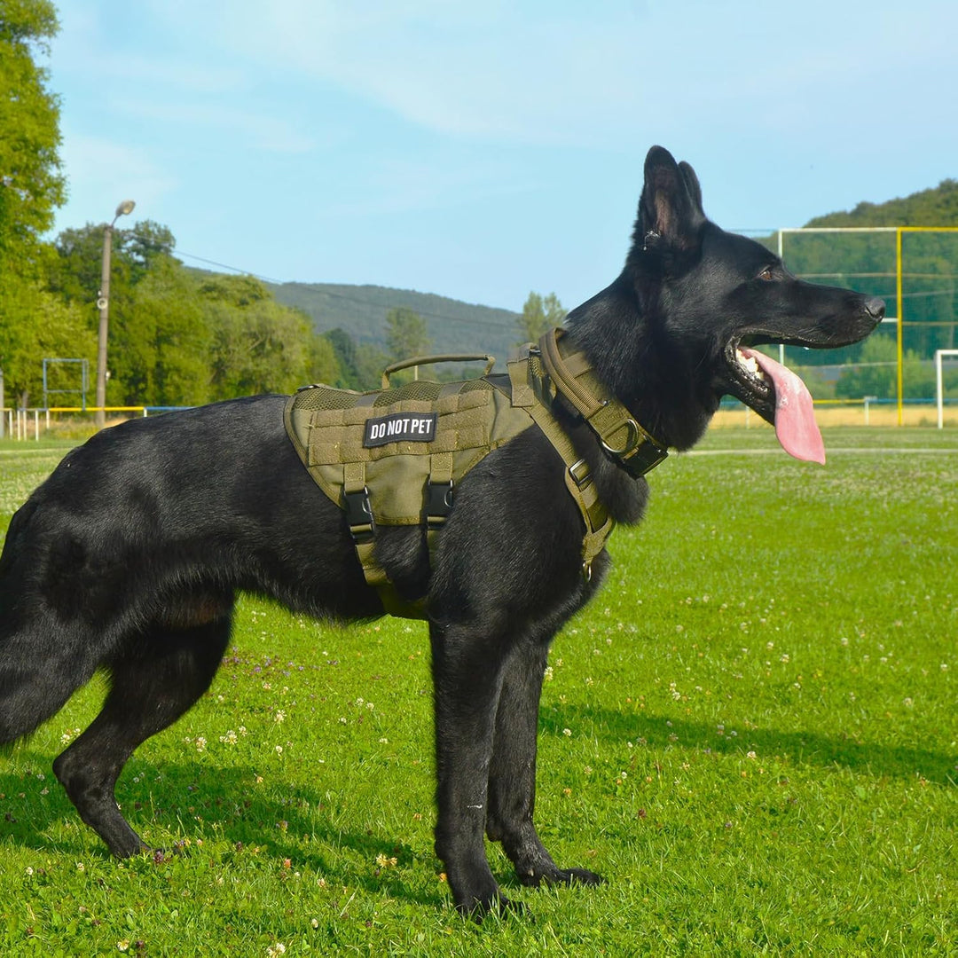 OneTigris No-Pull Hundegeschirr, AIRE MESH Einstellbar Sicherheitsgeschirr Ultra Atmungsaktiv für Gr