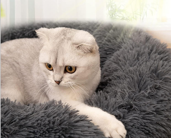 Hundebett Hunde Katzenbett Hundebett Donut Katzen Bett Hundebett Rund Kleines Haustierbett Für Hunde