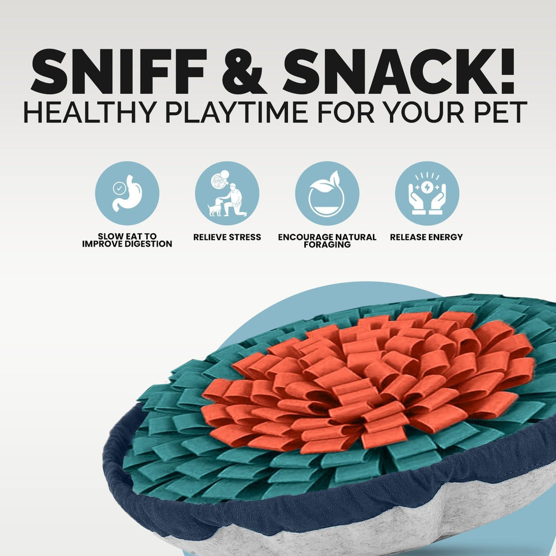 PET ARENA Schnüffelteppich Hund – Verstellbares, interaktives Puzzle-Spielzeug für grosse und kleine