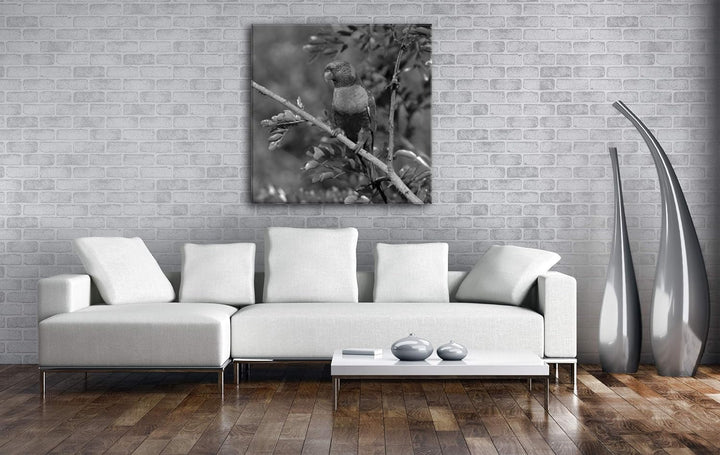 Allfarblori Papagei in der Natur im Format: 60x60 Effekt: Schwarz&Weiss als Leinwandbild, Motiv auf
