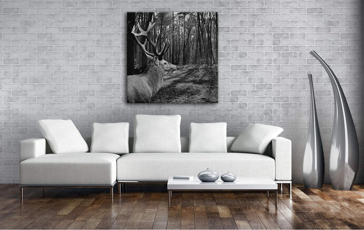 deyoli Edler Hirsch im Wald Format: 70x70 Effekt: Schwarz&Weiss als Leinwandbild, Motiv fertig gerah
