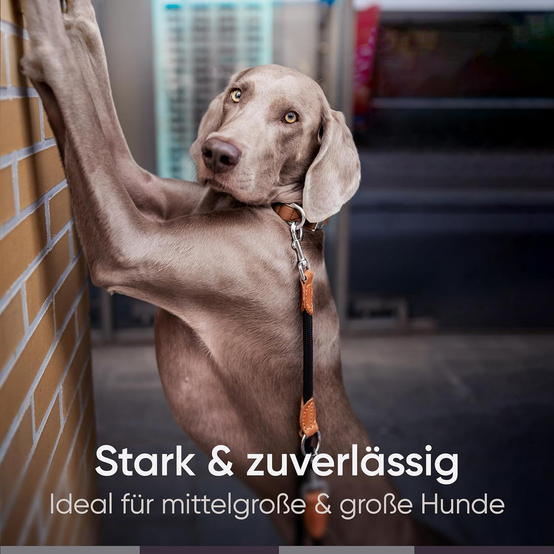 FREUDENTIER® Hundeleine für mittelgrosse & grosse Hunde – 2m Länge & 3-Fach verstellbar - Führleine