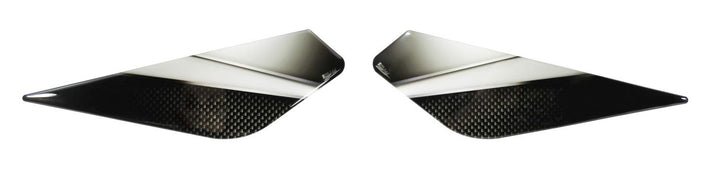 BIKE-label Tankpad Seitentank Carbon kompatibel für BMW R1200 GS 800501