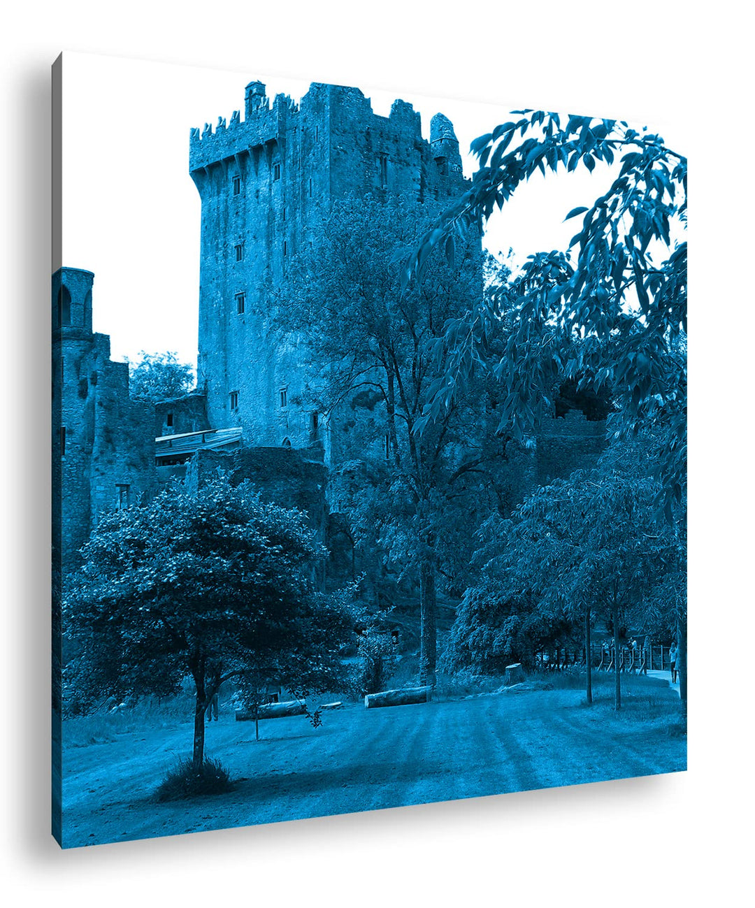 deyoli Blarney Castle in Irland Format: 60x60 Effekt: Monocrome Blau als Leinwandbild, Motiv fertig