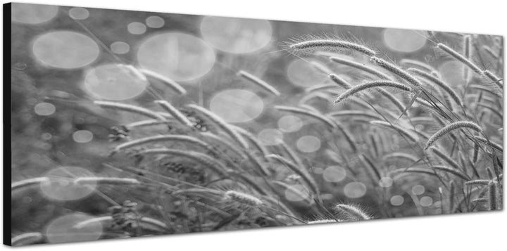 Paul Sinus Art Leinwandfoto als Panorama SCHWARZ/Weiss 120x40cm Kornfeld Herbst Abendsonne